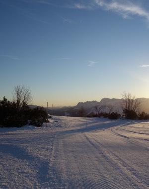 DSC00113.jpg