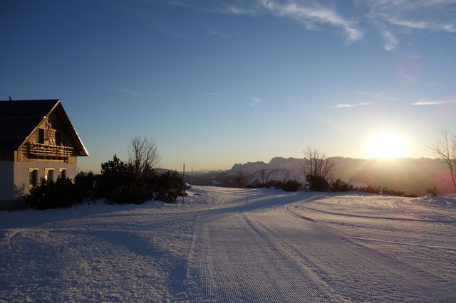 DSC00113.jpg