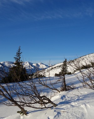 DSC00124.jpg