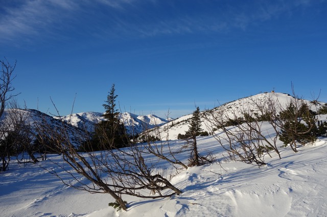 DSC00124.jpg