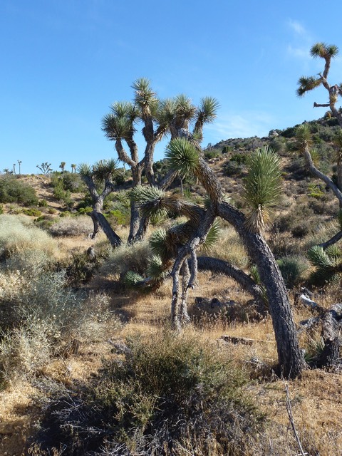 P1000793
