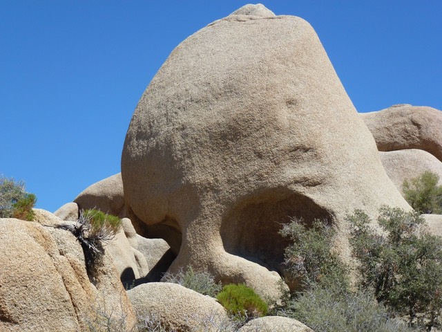 P1010040