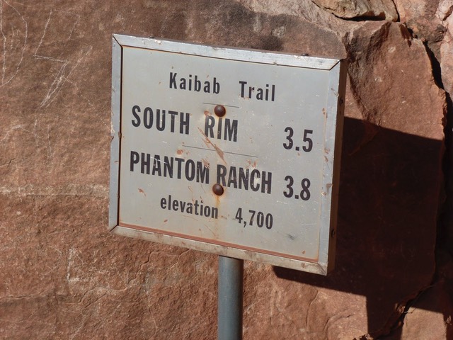 P1010535