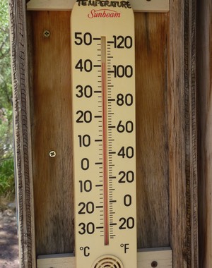 P1010688