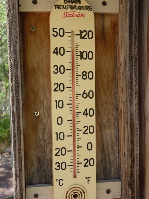 P1010688