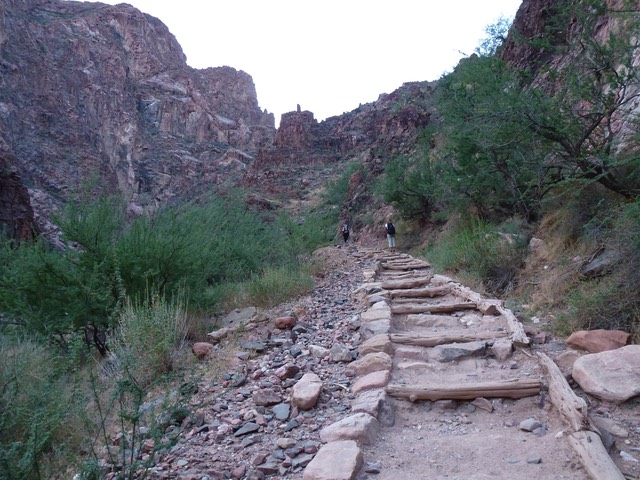 P1010728