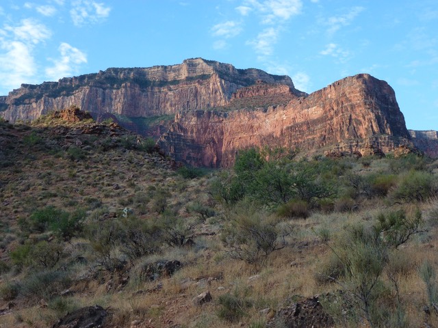 P1010736