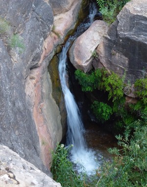 P1010744