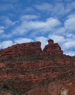 P1010755