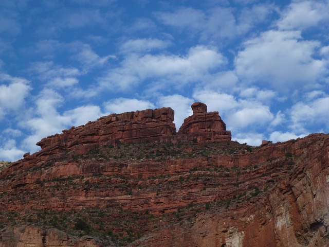 P1010755