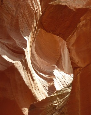 P1010893