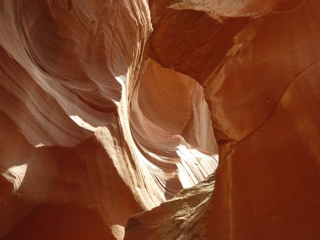 P1010893