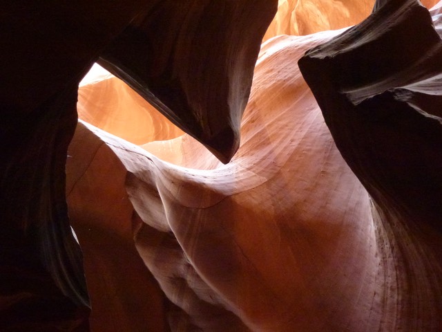 P1010917