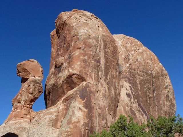 P1020718