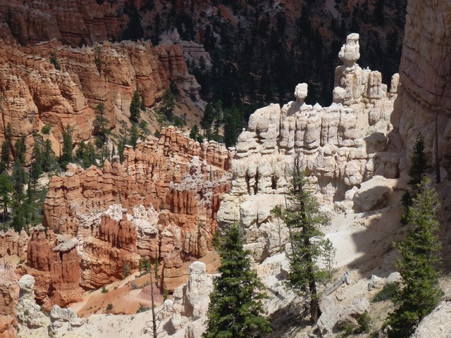 P1020950