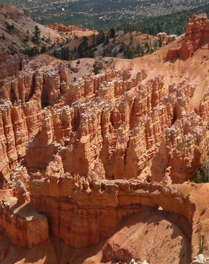 P1020963