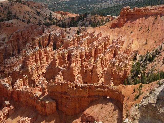 P1020963