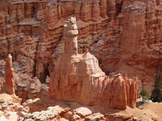 P1020991