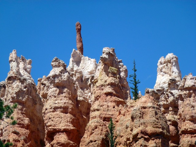 P1030014