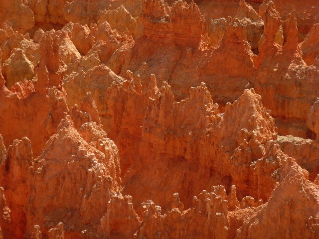 P1030134