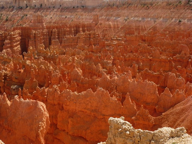 P1030135