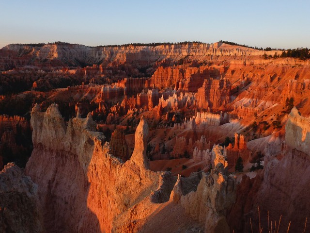 P1030176