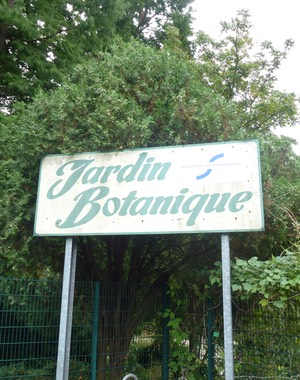 P1040167