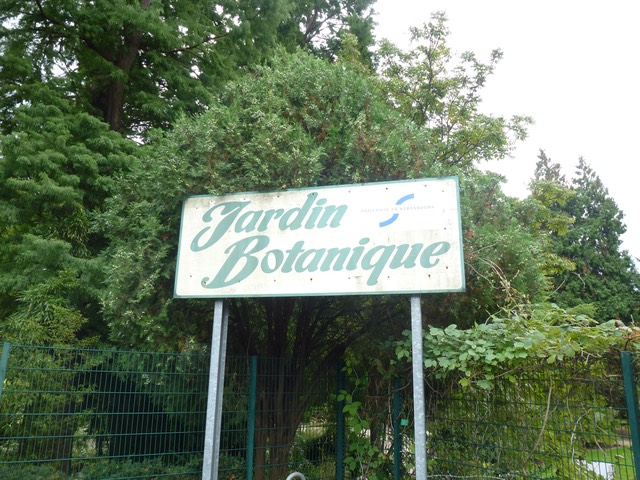 P1040167