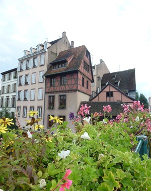 P1040438