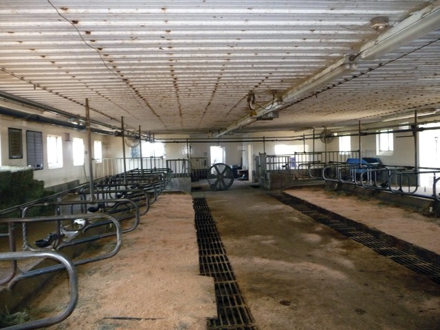 P1060449