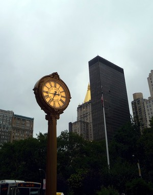 P1060677